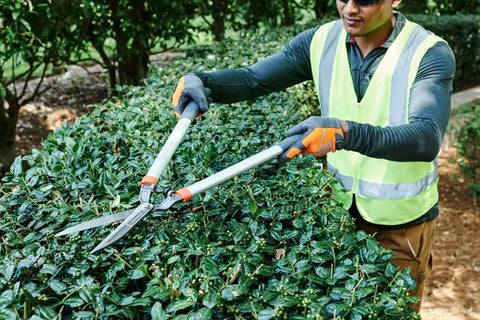 Hedge Shears - Coarse
