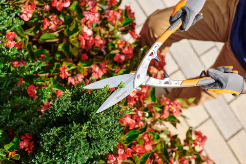 Hedge Shears - Precision