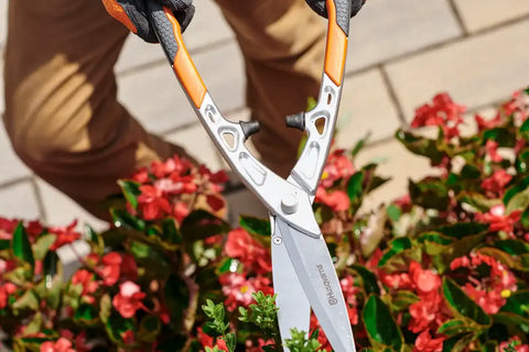 Hedge Shears - Precision