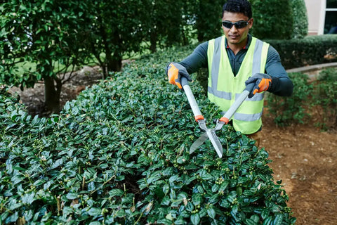 Hedge Shears - Coarse