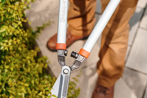 Hedge Shears - Coarse