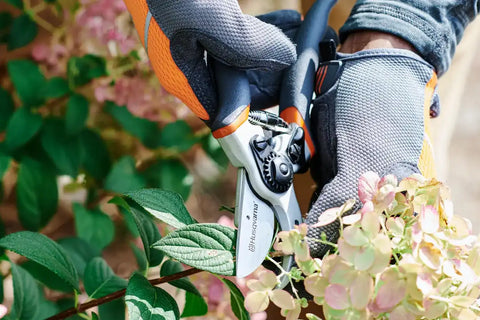 Hand Pruner - Technical