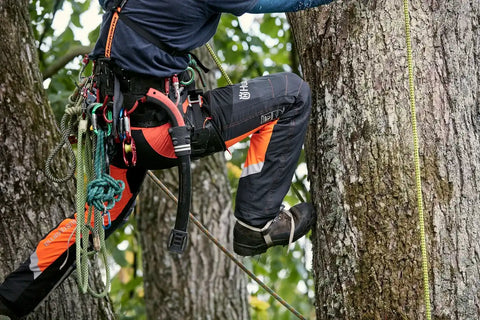 Technical Xtreme Arbor Chainsaw Pant