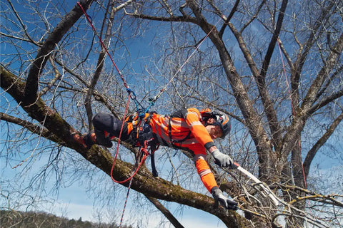 Husqvarna Climbing Harness