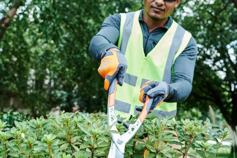 Hedge Shears - Precision