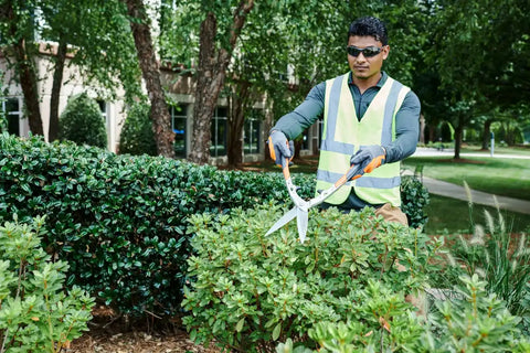 Hedge Shears - Precision